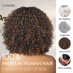 New Customers Only | Beginner Friendly Water Wave Minimalist Lace Glueless Short Curly Wig with Bangs